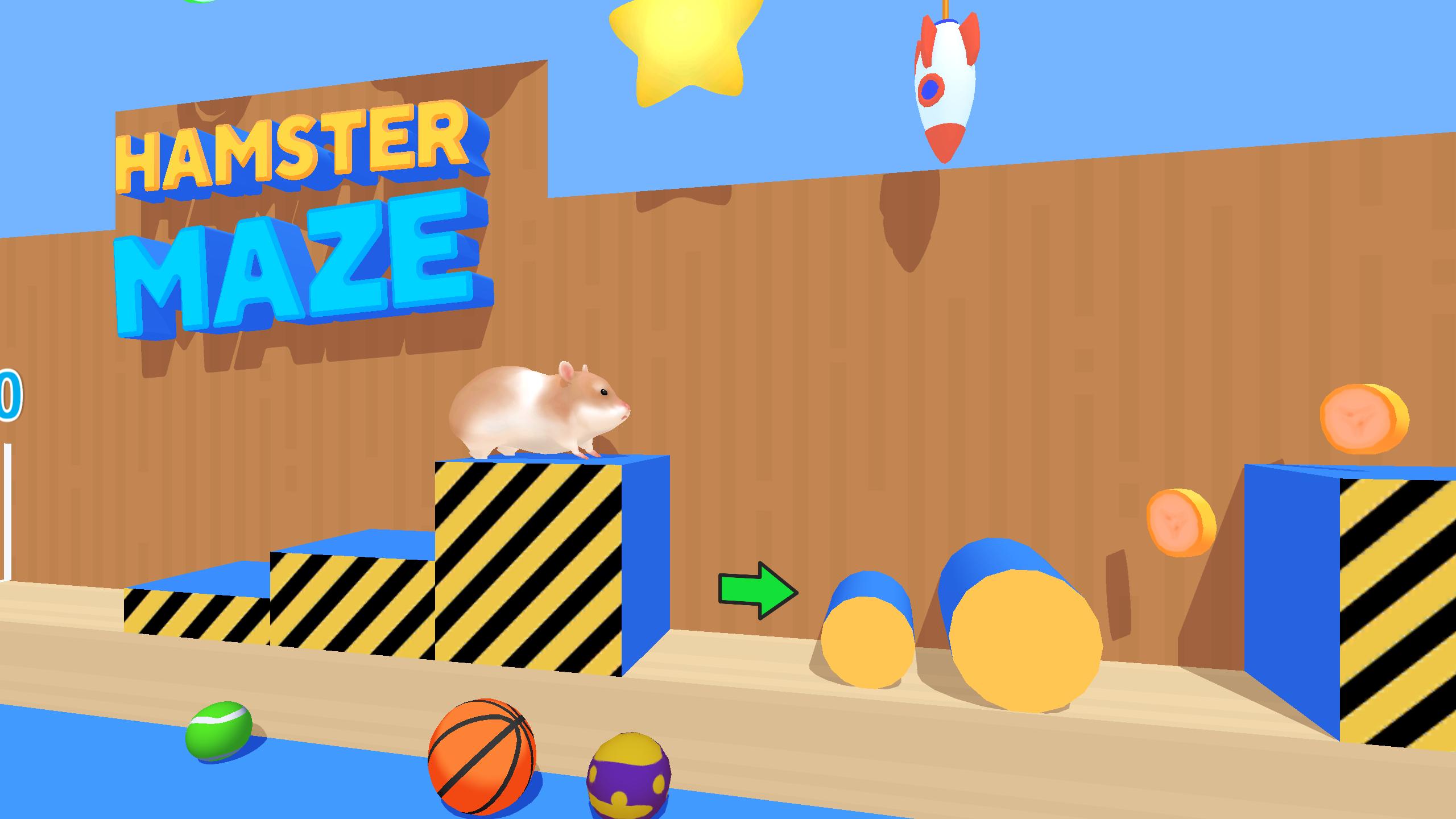 Unlock the Fun with Hamster Maze APK